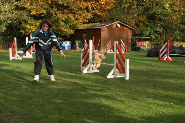 agility 2011-10-30